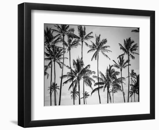 Palm Heaven-Design Fabrikken-Framed Premium Photographic Print