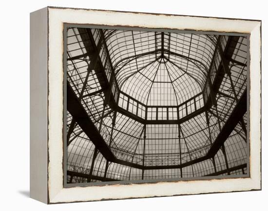 Palm House Following Restoration, the Botanic Gardens, Dublin, Ireland-null-Framed Premier Image Canvas