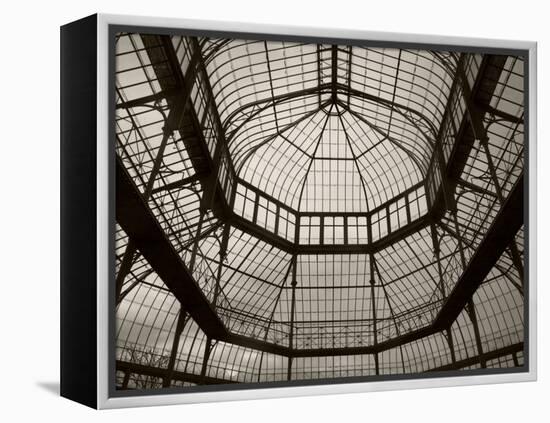 Palm House Following Restoration, the Botanic Gardens, Dublin, Ireland-null-Framed Premier Image Canvas