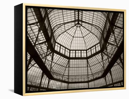 Palm House Following Restoration, the Botanic Gardens, Dublin, Ireland-null-Framed Premier Image Canvas