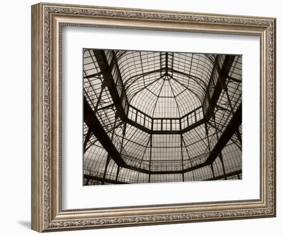 Palm House Following Restoration, the Botanic Gardens, Dublin, Ireland-null-Framed Photographic Print