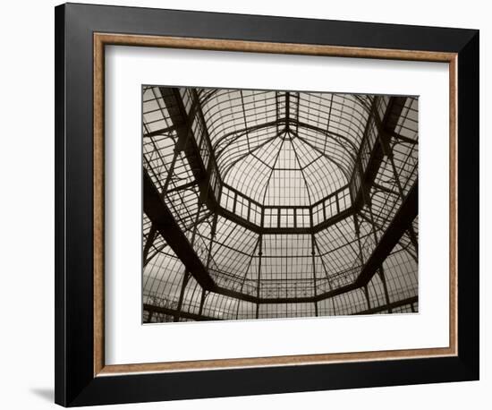 Palm House Following Restoration, the Botanic Gardens, Dublin, Ireland-null-Framed Photographic Print