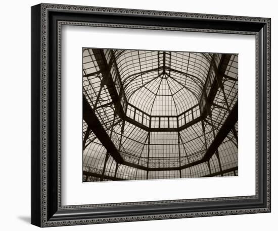 Palm House Following Restoration, the Botanic Gardens, Dublin, Ireland-null-Framed Photographic Print