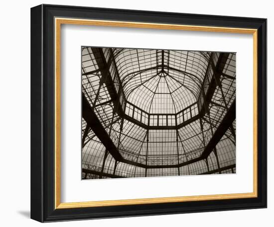 Palm House Following Restoration, the Botanic Gardens, Dublin, Ireland-null-Framed Photographic Print