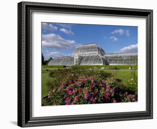 Palm House in Kew Gardens in Summer-Charles Bowman-Framed Photographic Print