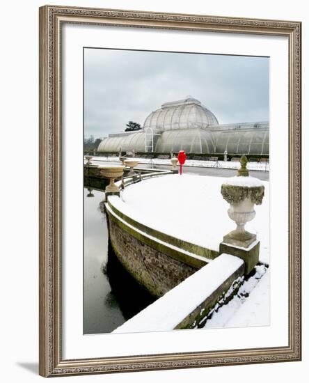 Palm House in Kew Gardens in Winter-Charles Bowman-Framed Photographic Print