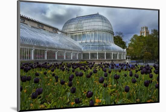 Palm House in the Botanic Gardens,Belfast City,Northern Ireland-null-Mounted Photographic Print