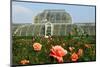 Palm house in the Royal Botanic Gardens, Kew, London, South of England, Great Britain-null-Mounted Art Print