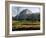 Palm House, Royal Botanic Gardens, Kew, Surrey-Ethel Davies-Framed Photographic Print