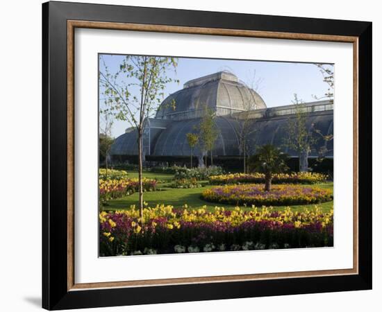 Palm House, Royal Botanic Gardens, Kew, Surrey-Ethel Davies-Framed Photographic Print