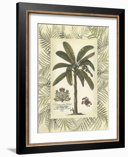 Palm in Bamboo Frame II-null-Framed Art Print