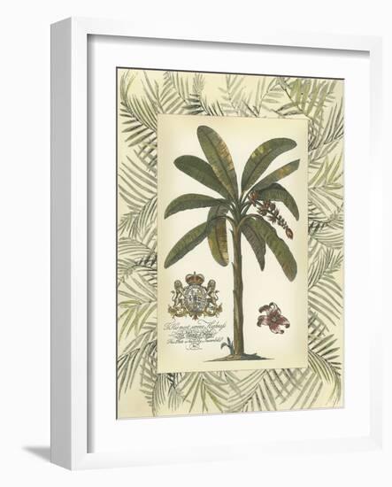 Palm in Bamboo Frame II-null-Framed Art Print