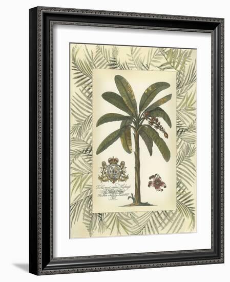 Palm in Bamboo Frame II-null-Framed Art Print