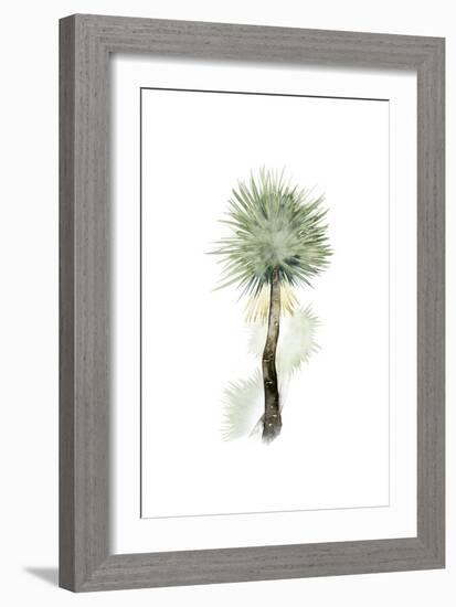 Palm in Watercolor II-Grace Popp-Framed Art Print