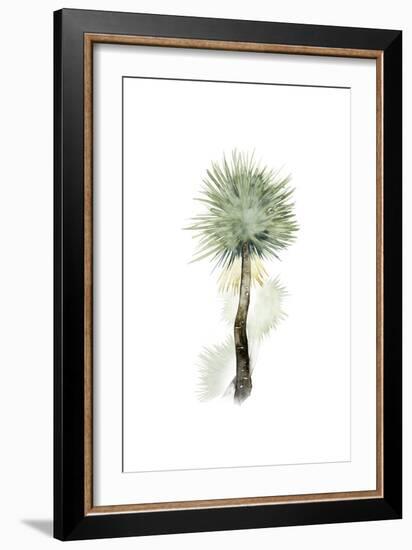 Palm in Watercolor II-Grace Popp-Framed Art Print