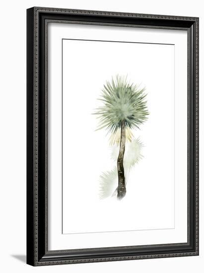 Palm in Watercolor II-Grace Popp-Framed Art Print