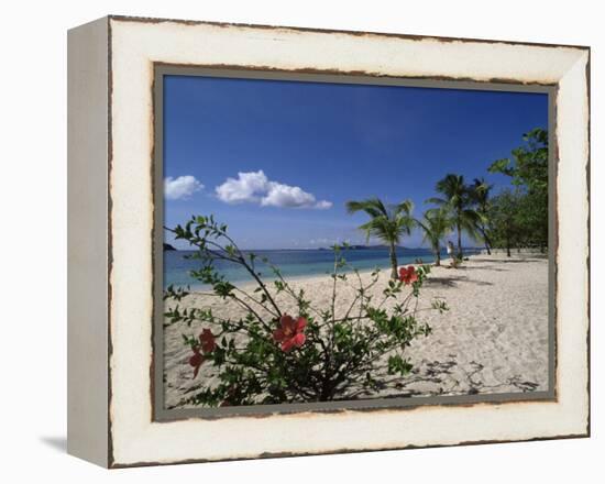 Palm Island, Near Young Island, the Grenadines, Windward Islands-Fraser Hall-Framed Premier Image Canvas