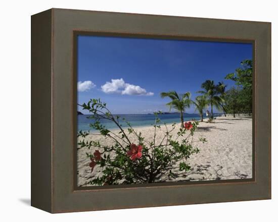 Palm Island, Near Young Island, the Grenadines, Windward Islands-Fraser Hall-Framed Premier Image Canvas