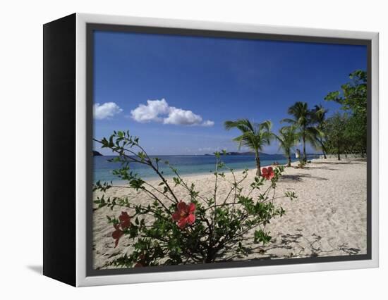 Palm Island, Near Young Island, the Grenadines, Windward Islands-Fraser Hall-Framed Premier Image Canvas