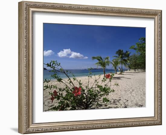 Palm Island, Near Young Island, the Grenadines, Windward Islands-Fraser Hall-Framed Photographic Print