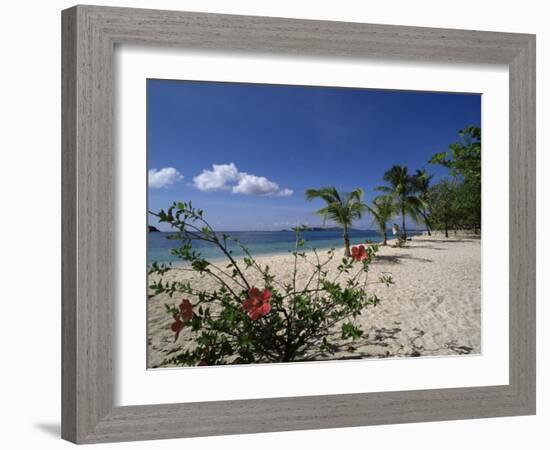 Palm Island, Near Young Island, the Grenadines, Windward Islands-Fraser Hall-Framed Photographic Print