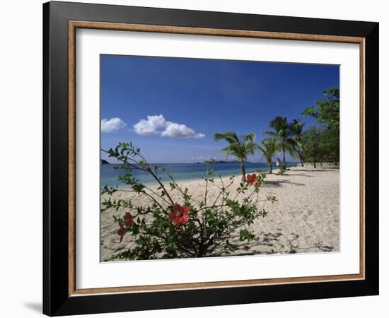 Palm Island, Near Young Island, the Grenadines, Windward Islands-Fraser Hall-Framed Photographic Print