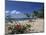 Palm Island, Near Young Island, the Grenadines, Windward Islands-Fraser Hall-Mounted Photographic Print