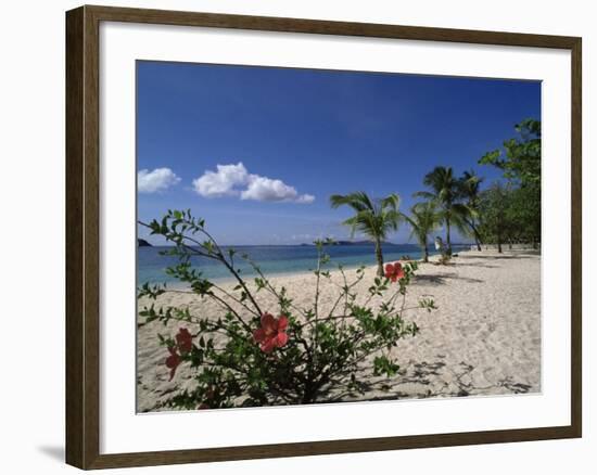 Palm Island, Near Young Island, the Grenadines, Windward Islands-Fraser Hall-Framed Photographic Print