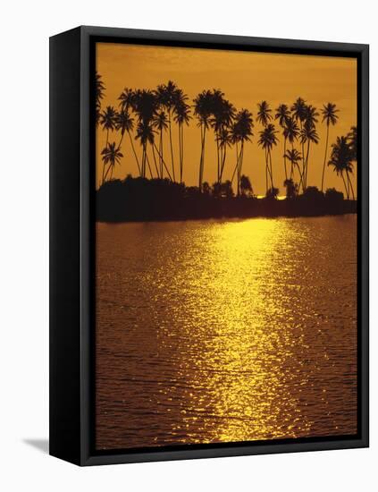 Palm Island, Sundown-Thonig-Framed Premier Image Canvas