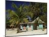 Palm Island, the Grenadines, Windward Islands, West Indies, Caribbean, Central America-Fraser Hall-Mounted Photographic Print