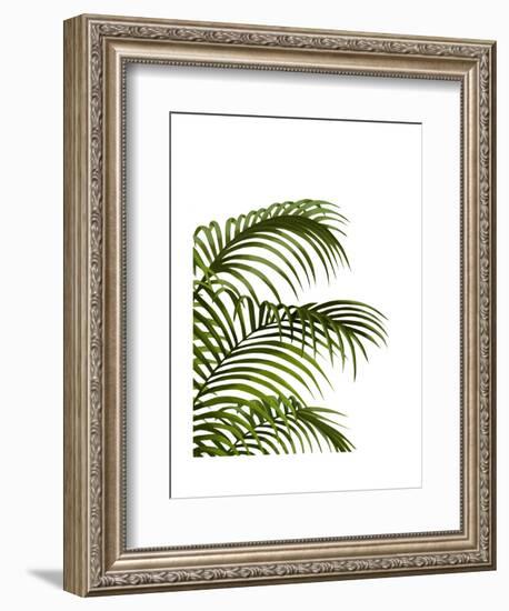 Palm Leaf 1, Green On White-Fab Funky-Framed Art Print