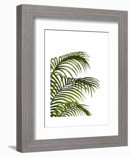 Palm Leaf 1, Green On White-Fab Funky-Framed Art Print