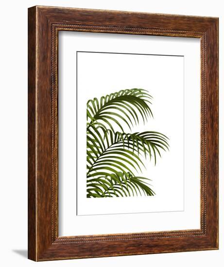 Palm Leaf 1, Green On White-Fab Funky-Framed Art Print