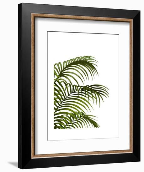 Palm Leaf 1, Green On White-Fab Funky-Framed Art Print