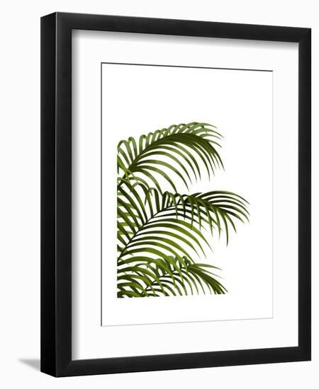 Palm Leaf 1, Green On White-Fab Funky-Framed Art Print