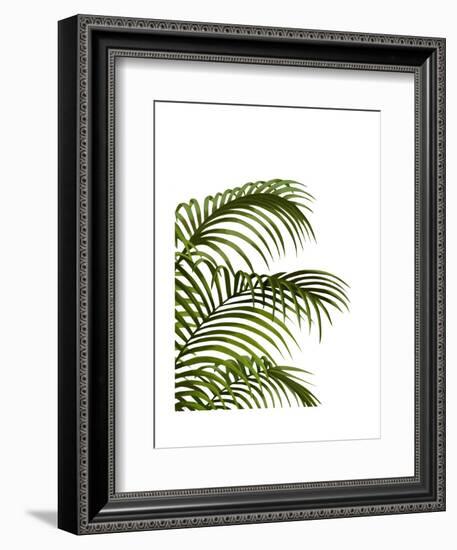 Palm Leaf 1, Green On White-Fab Funky-Framed Art Print