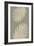 PALM LEAF 15-1x Studio-Framed Giclee Print