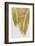 Palm Leaf Gold II-Orara Studio-Framed Photographic Print