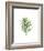 Palm Leaf I-Ann Solo-Framed Art Print