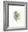 Palm Leaf I-Ann Solo-Framed Art Print