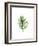 Palm Leaf I-Ann Solo-Framed Art Print