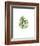 Palm Leaf I-Ann Solo-Framed Art Print