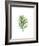 Palm Leaf I-Ann Solo-Framed Art Print