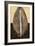 Palm Leaf I-John Seba-Framed Premium Giclee Print