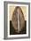 Palm Leaf I-John Seba-Framed Art Print