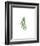 Palm Leaf II-Ann Solo-Framed Art Print