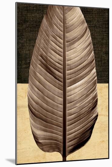 Palm Leaf II-John Seba-Mounted Art Print