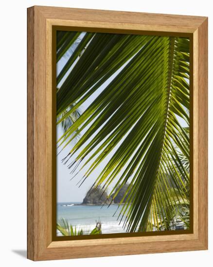 Palm Leaf, Nicoya Pennisula, Costa Rica, Central America-R H Productions-Framed Premier Image Canvas