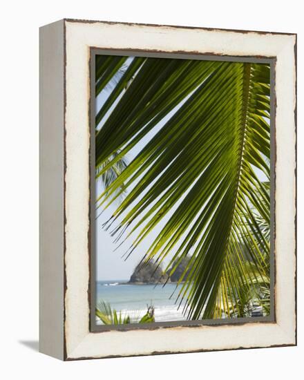 Palm Leaf, Nicoya Pennisula, Costa Rica, Central America-R H Productions-Framed Premier Image Canvas