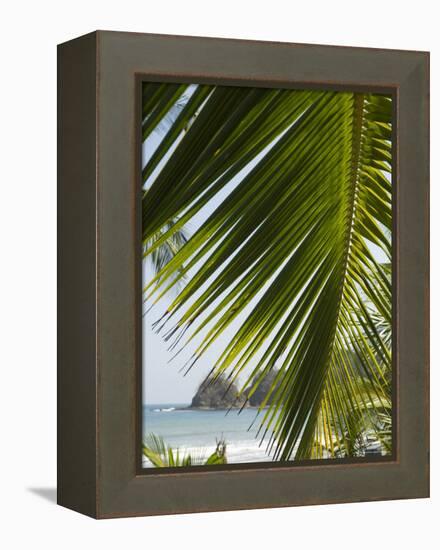 Palm Leaf, Nicoya Pennisula, Costa Rica, Central America-R H Productions-Framed Premier Image Canvas